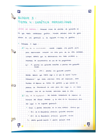 BLOQUE-3-TEMA-4-GENETICA-MENDELIANA-BIOLOGIA-2BACH.pdf