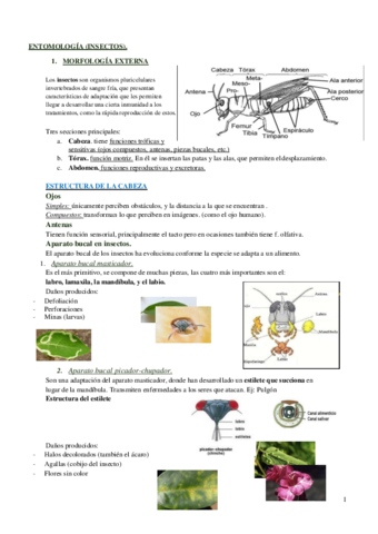 TEMA-1.pdf