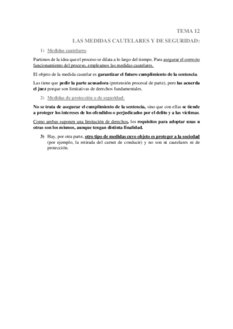 TEMA-12-PROCESO-PENAL.pdf