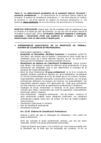 Apunts-tema-3.pdf