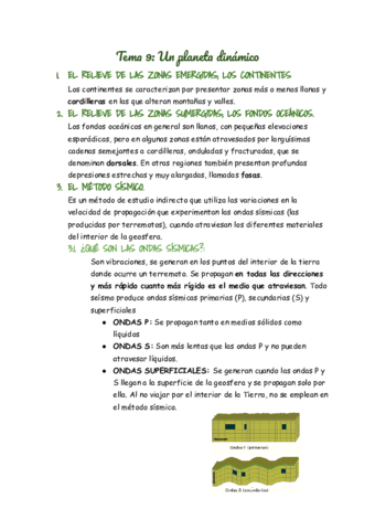 tema-9.pdf