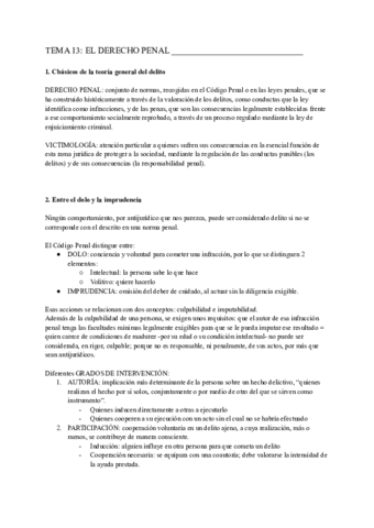 TEMA-13-DERECHO-EL-DERECHO-PENAL.pdf