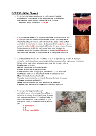 AUTOEVALUACIONES-edafo.pdf