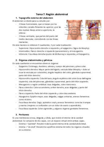 Tema-7-Region-abdominal.pdf