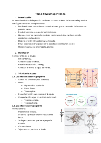 Tema-2-Neumoperitoneo.pdf