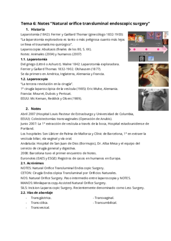Tema-6-Notes-Natural-orifice-transluminal-endoscopic-surgery.pdf