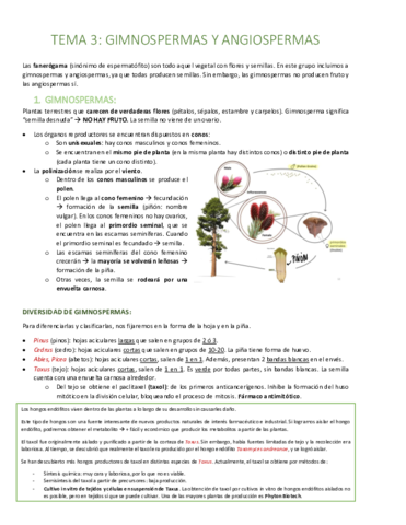 TEMA-3-Gimnospermas-y-angiospermas.pdf