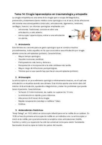 Tema-14-Cirugia-laparoscopica-en-traumatologia-y-ortopedia.pdf