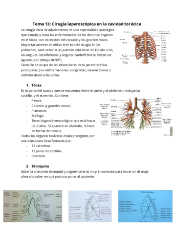 Tema-13-Cirugia-laparoscopica-en-la-cavidad-toracica.pdf