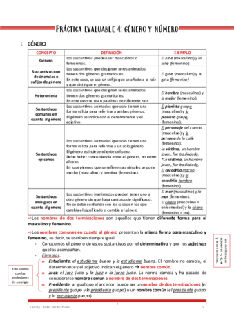 APUNTES-DEFINITIVOSPractica-4genero-y-numero.pdf