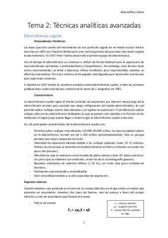 Tema-2-Tecnicas-analiticas-avanzadas.pdf