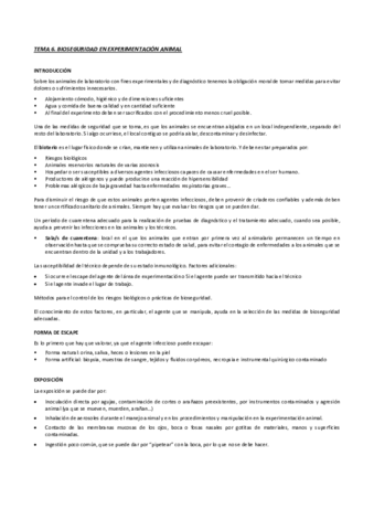 TEMA-6.pdf