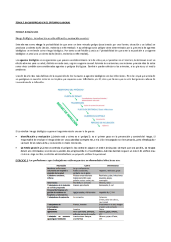 TEMA-2.pdf