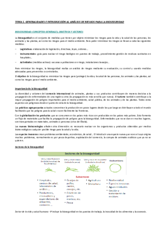 TEMA-1.pdf