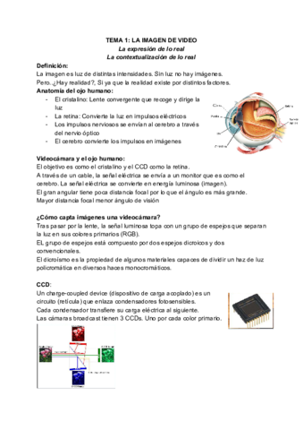 TEMA-1-LA-IMAGEN-DE-VIDEO.pdf