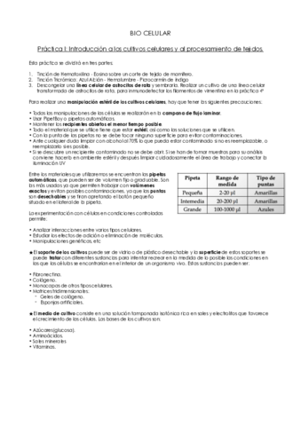 APUNTES-PRACTICAS-BIOCEL.pdf