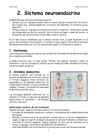 Tema-2-Sistema-endocrino-.pdf