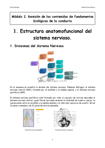 Tema-1-Estructura-anatomofuncional-del-sistema-nervioso-.pdf