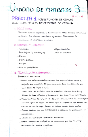 Practica-1.pdf