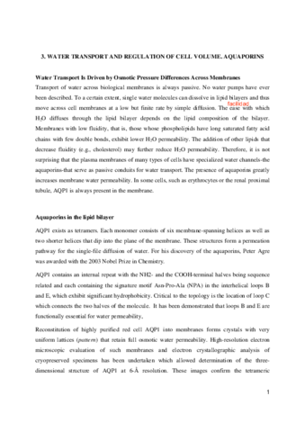 Water-transport.pdf