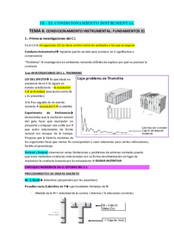 TEMA-6-fundamentos-CI.pdf