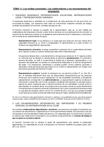 TEMA-11.pdf