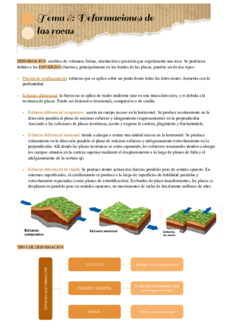 Tema-8.pdf