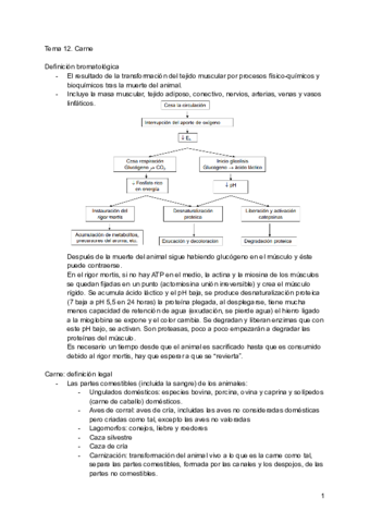 Tema-12.pdf