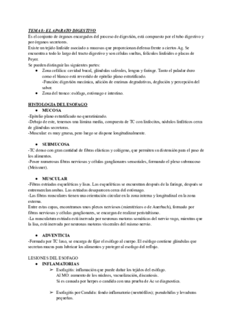 TEMA-8-CITO-.pdf