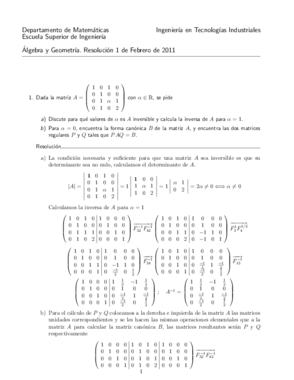 Examen completo Febrero 2011.pdf