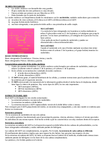 acidos-nucleicos-pdf.pdf