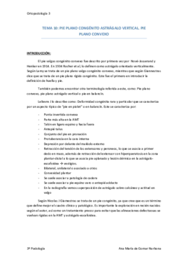 Tema 10 pie plano.pdf