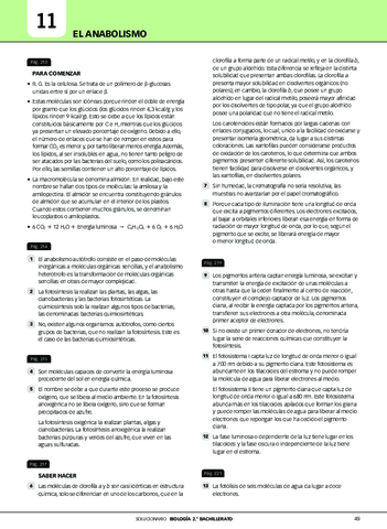 Tema-11-El-anabolismo.pdf