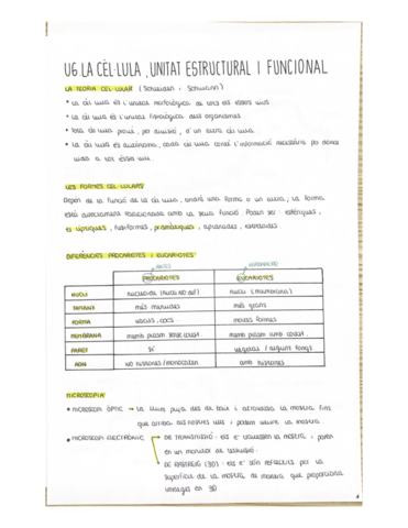 Unitat-6.pdf