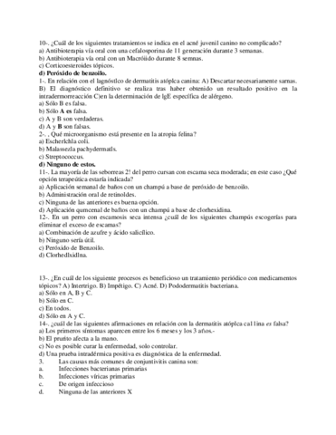 recopilacion-preguntas.pdf
