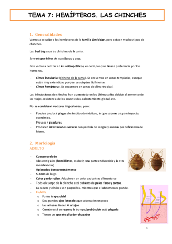 tema-7-fauna-y-salud-HEMIPTEROS.-LAS-CHINCHES.pdf