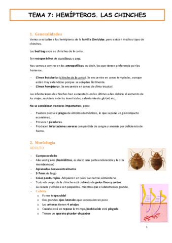 tema-7-fauna-y-salud-HEMIPTEROS.-LAS-CHINCHES.pdf