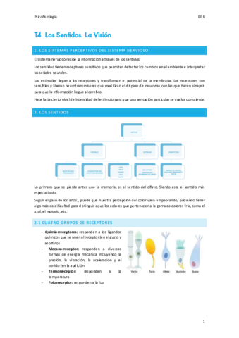 T4-Los-Sentidos-Vision.pdf