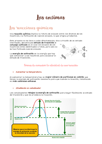 Las-enzimasremoved.pdf