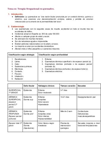 Tema-21.pdf