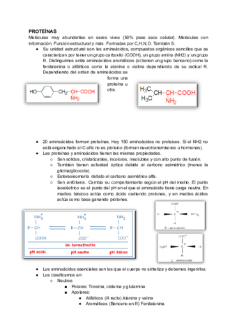 proteinas-acidos-nucleicos-y-enzimas.pdf