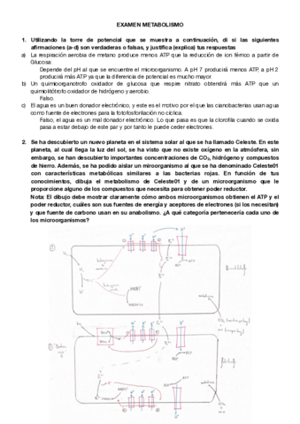 examen-metabolismo.pdf