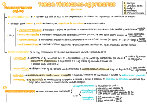 Esquema-T3-Inmuno.pdf