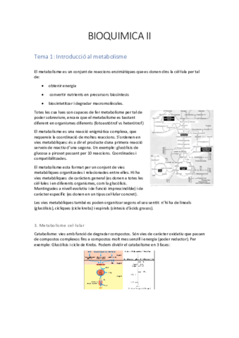 BIOQUIMICA-II-Metabolismo.pdf