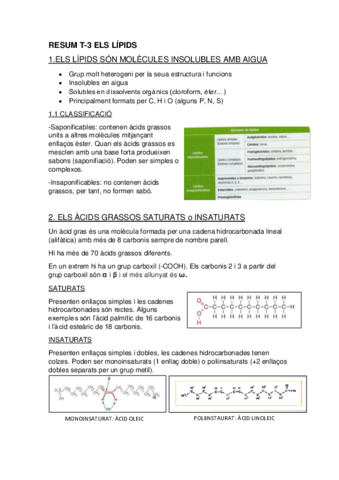 RESUM-LIPIDS-T-3.pdf