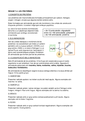 RESUM-T-4-PROTEINES.pdf