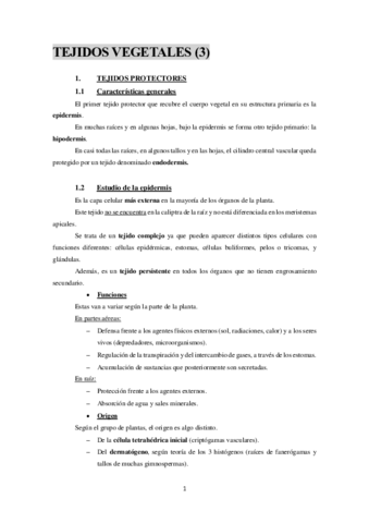 TEJIDOS-VEGETALES-3.pdf