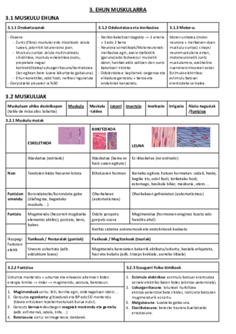 03. EHUN MUSKULARRA.pdf