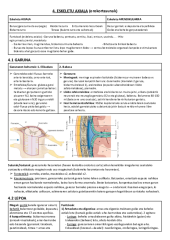 04. ESKELETO AXIALA.pdf