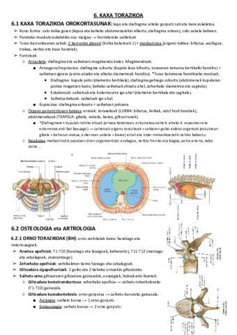 06. KAXA TORAZIKOA.pdf